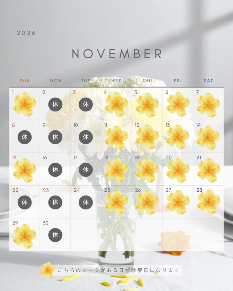 11月の診療スケジュール