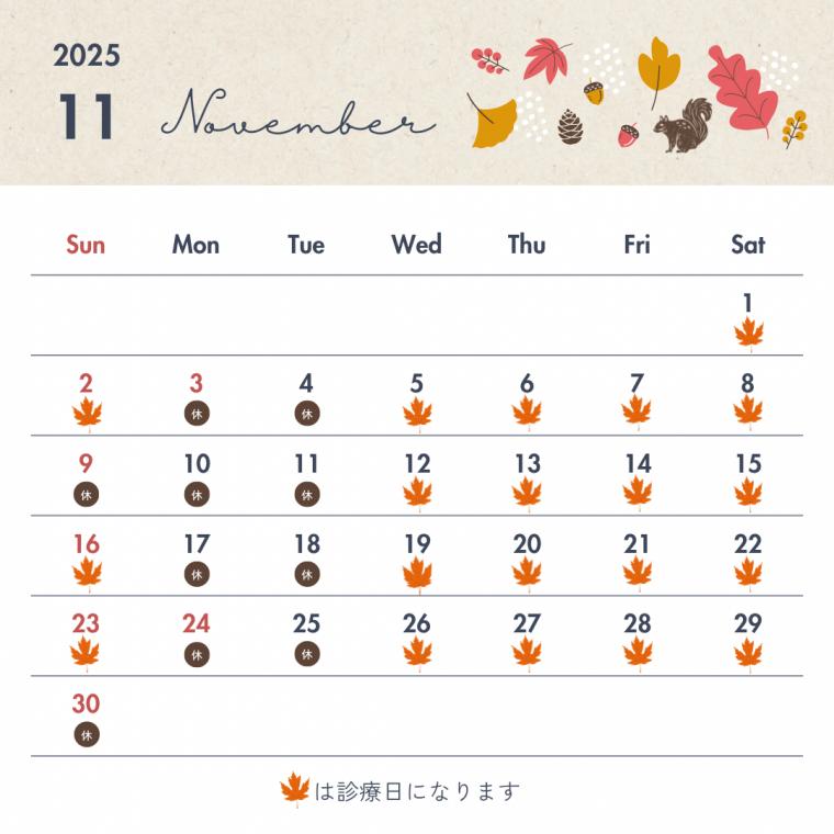 11月の診療スケジュール
