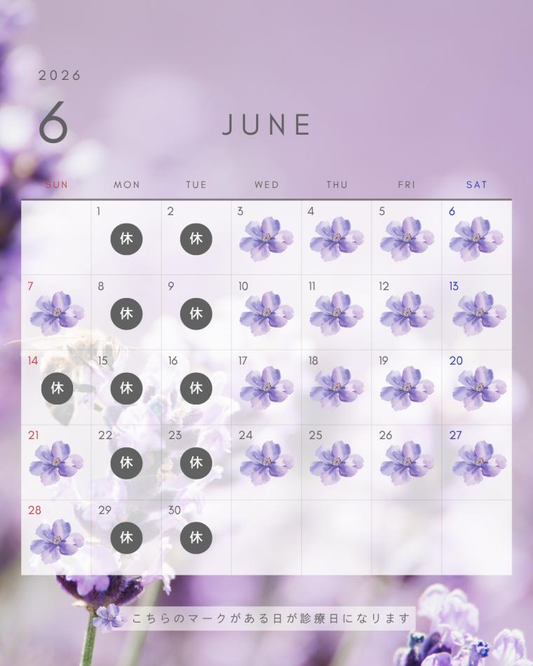 6月の診療スケジュール