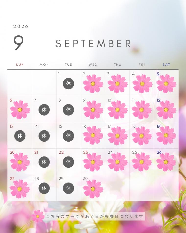9月の診療スケジュール